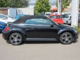 VW Beetle bei Gebrauchtwagen.expert - Abbildung (10 / 15) VW Beetle bei Gebrauchtwagen.expert - Abbildung (10 / 15)