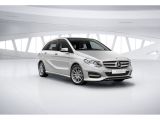 Mercedes-Benz B-Klasse bei Gebrauchtwagen.expert - Abbildung (13 / 15)