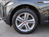 Jaguar F-Pace bei Gebrauchtwagen.expert - Abbildung (12 / 15)