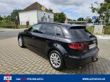 Audi A3 bei Gebrauchtwagen.expert - Abbildung (4 / 15)