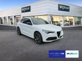 Alfa Romeo Stelvio bei Gebrauchtwagen.expert - Abbildung (5 / 15)