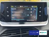 Peugeot 2008 bei Gebrauchtwagen.expert - Abbildung (13 / 15)
