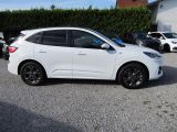 Ford Kuga bei Gebrauchtwagen.expert - Abbildung (6 / 15)