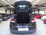 Renault Megane III bei Gebrauchtwagen.expert - Abbildung (13 / 15)