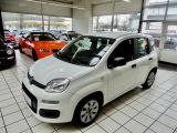 Fiat Panda bei Gebrauchtwagen.expert - Abbildung (8 / 15)