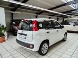 Fiat Panda bei Gebrauchtwagen.expert - Abbildung (6 / 15)