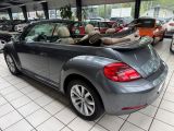 VW Beetle bei Gebrauchtwagen.expert - Abbildung (7 / 15)