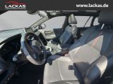 Toyota RAV 4 bei Gebrauchtwagen.expert - Abbildung (9 / 15)
