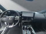 Lexus NX bei Gebrauchtwagen.expert - Abbildung (12 / 15)