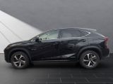 Lexus NX bei Gebrauchtwagen.expert - Abbildung (2 / 15)