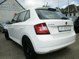 Skoda Fabia bei Gebrauchtwagen.expert - Abbildung (5 / 15)