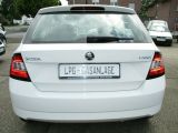 Skoda Fabia bei Gebrauchtwagen.expert - Abbildung (6 / 15)