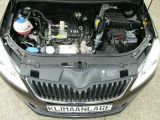 Skoda Roomster bei Gebrauchtwagen.expert - Abbildung (4 / 15)