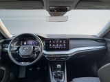 Skoda Octavia bei Gebrauchtwagen.expert - Abbildung (6 / 15)