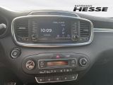 Kia Sorento bei Gebrauchtwagen.expert - Abbildung (8 / 15) Kia Sorento bei Gebrauchtwagen.expert - Abbildung (8 / 15)