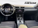 Skoda Superb bei Gebrauchtwagen.expert - Abbildung (6 / 15)