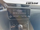 Skoda Superb bei Gebrauchtwagen.expert - Abbildung (8 / 15)