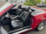 Mercedes-Benz SL 320 bei Gebrauchtwagen.expert - Abbildung (11 / 15)