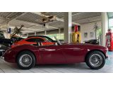 Austin Healey 100 bei Gebrauchtwagen.expert - Abbildung (10 / 15)
