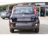 Fiat Panda bei Gebrauchtwagen.expert - Abbildung (5 / 15)