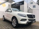 Mercedes-Benz M-Klasse bei Gebrauchtwagen.expert - Abbildung (8 / 11)