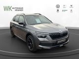 Skoda Kamiq bei Gebrauchtwagen.expert - Abbildung (6 / 14)