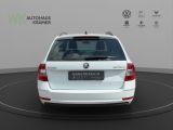 Skoda Octavia bei Gebrauchtwagen.expert - Abbildung (3 / 15)