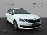 Skoda Octavia bei Gebrauchtwagen.expert - Abbildung (6 / 15)