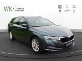 Skoda Octavia bei Gebrauchtwagen.expert - Abbildung (5 / 12)