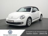 VW Beetle bei Gebrauchtwagen.expert - Abbildung (3 / 15)