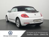 VW Beetle bei Gebrauchtwagen.expert - Abbildung (14 / 15)
