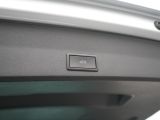 Seat Ateca bei Gebrauchtwagen.expert - Abbildung (13 / 15)