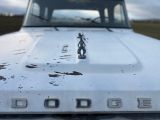Dodge D200 bei Gebrauchtwagen.expert - Abbildung (8 / 15)