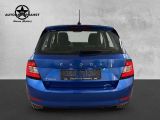 Skoda Fabia bei Gebrauchtwagen.expert - Abbildung (5 / 15)