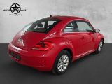 VW Beetle bei Gebrauchtwagen.expert - Abbildung (2 / 15)