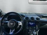 Ford Mustang bei Gebrauchtwagen.expert - Abbildung (7 / 15) Ford Mustang bei Gebrauchtwagen.expert - Abbildung (7 / 15)