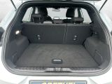 Ford Puma bei Gebrauchtwagen.expert - Abbildung (6 / 15)