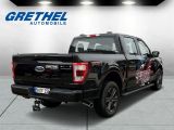 Ford F bei Gebrauchtwagen.expert - Abbildung (5 / 15)