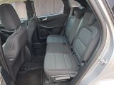 Ford Kuga bei Gebrauchtwagen.expert - Abbildung (13 / 15)