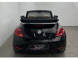 VW Beetle bei Gebrauchtwagen.expert - Abbildung (7 / 10) VW Beetle bei Gebrauchtwagen.expert - Abbildung (7 / 10)