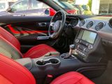 Ford Mustang bei Gebrauchtwagen.expert - Abbildung (11 / 15)