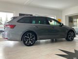 Skoda Octavia bei Gebrauchtwagen.expert - Abbildung (6 / 15)