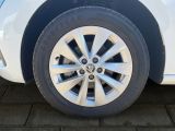 Skoda Scala bei Gebrauchtwagen.expert - Abbildung (14 / 15) Skoda Scala bei Gebrauchtwagen.expert - Abbildung (14 / 15)