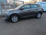 Opel Grandland X bei Gebrauchtwagen.expert - Abbildung (6 / 13)