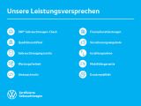 VW T-Roc bei Gebrauchtwagen.expert - Abbildung (12 / 15)