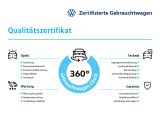 VW Golf VIII bei Gebrauchtwagen.expert - Abbildung (7 / 15)