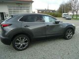 Mazda CX-30 bei Gebrauchtwagen.expert - Abbildung (3 / 15)