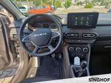 Dacia Sandero bei Gebrauchtwagen.expert - Abbildung (14 / 15)