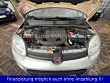 Fiat Panda bei Gebrauchtwagen.expert - Abbildung (14 / 15)
