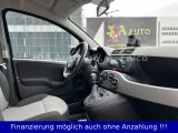 Fiat Panda bei Gebrauchtwagen.expert - Abbildung (11 / 15)